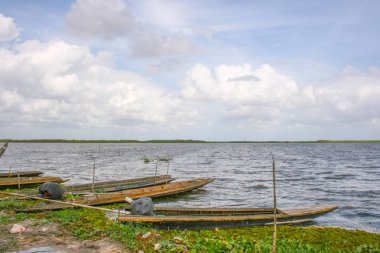 Beyaz bulut mavi gökyüzü ve ağaç balıkçısı Güney Tayland 'da