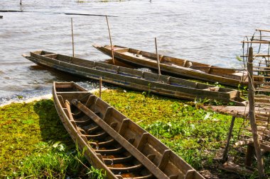 Tayland 'ın güneyindeki gölde yaşlı bir balıkçı.