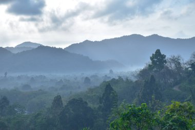 Güney Tayland 'ın dağlarında sabah sisi manzarası