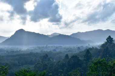 Güney Tayland 'ın dağlarında sabah sisi manzarası