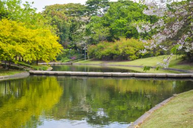 Bangkok, Tayland 'daki Gardent Park' ta nehir ve manzara manzarası