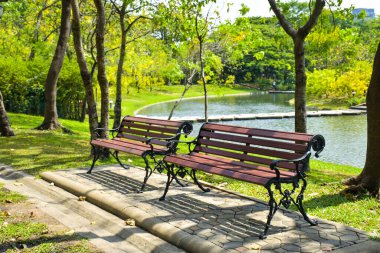 Tayland, Bangkok 'ta büyük bir ağacın altında ahşap bir bank.