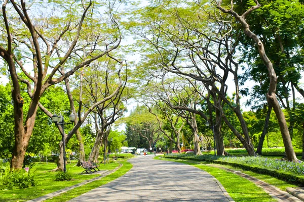 Gran Árbol Pasarela Parque Del Jardín Bangkok Tailandia — Foto de Stock