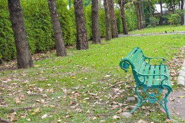 Parktaki güzel manzara ve ağaçlar, Bangkok, Tayland