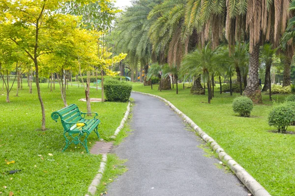 방콕의 공원에서 펼쳐지는 나무들 과아름다운 — 스톡 사진