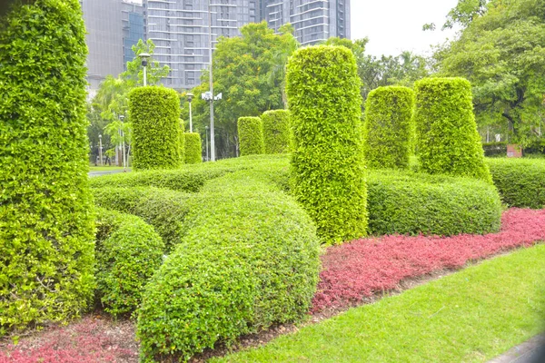 Hermosa Decoración Jardín Jardín Bangkok Tailandia — Foto de Stock