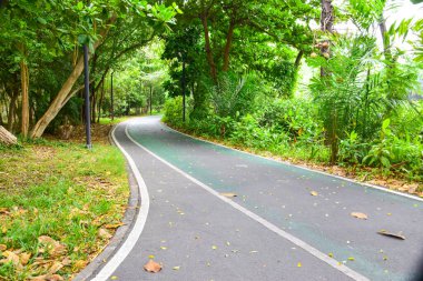 Bangkok, Tayland 'da bisiklet yolu ve güzel ağaçlar.