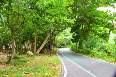Bangkok, Tayland 'da bisiklet yolu ve güzel ağaçlar.