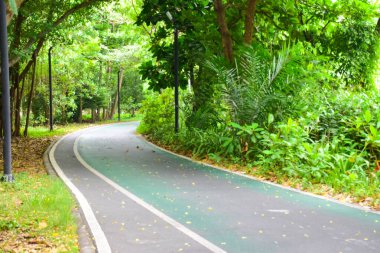 Bangkok, Tayland 'da bisiklet yolu ve güzel ağaçlar.