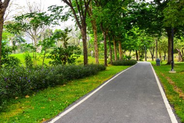 Chatuchak Park, Tayland 'da bisiklet yolları ve yürüyüş yolları