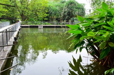 Chatuchak Park, Tayland 'da güzel bir göl ve köprü.