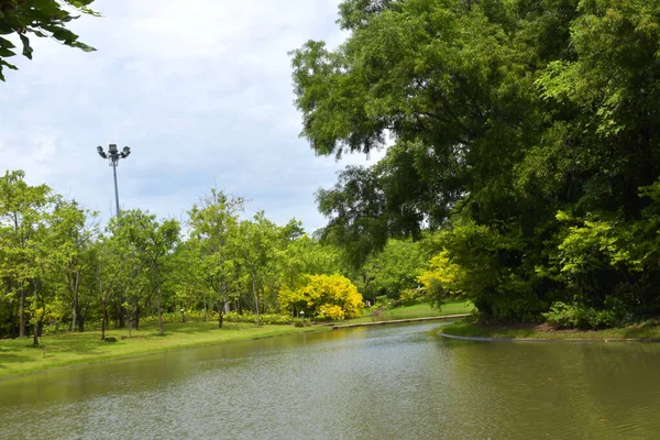 Piękne Jezioro Drzewa Parku Bangkok Tajlandia — Zdjęcie stockowe