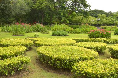 Bangkok 'taki bir Tayland bahçesinde eğilmiş bitki ve bahçe süslemeleri.