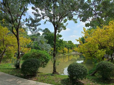 Tayland bahçesinde göl ve manzara yeşil ağacı