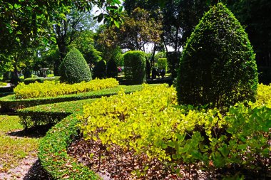 Suan Luang Rama IX, Bangkok, Tayland 'daki Bonsai ağaçları ve renkli çiçek bitkileri