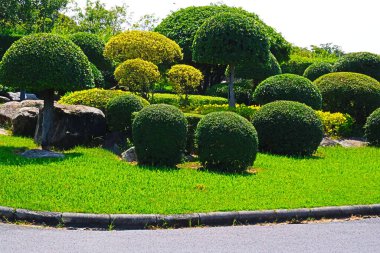 Suan Luang Rama IX, Bangkok, Tayland 'daki Bonsai ağaçları ve renkli çiçek bitkileri
