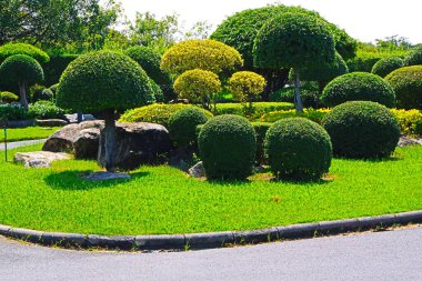 Suan Luang Rama IX, Bangkok, Tayland 'daki Bonsai ağaçları ve renkli çiçek bitkileri