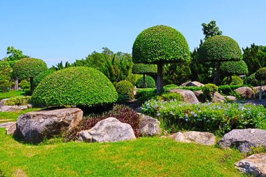 Suan Luang Rama IX, Bangkok, Tayland 'daki Bonsai ağaçları ve renkli çiçek bitkileri