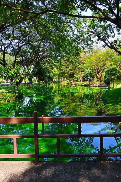 Suan Luang 'da yeşil ağaçlar ve güzel bir göl. 9, Bangkok, Tayland