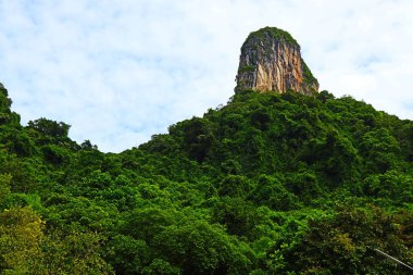 Güzel dağlar, güzel ağaçlar, güney Tayland 'da yeşillik..