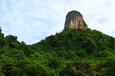 Güzel dağlar, güzel ağaçlar, güney Tayland 'da yeşillik..