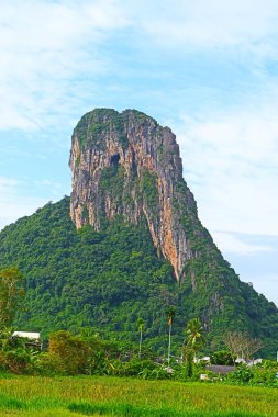 Güzel dağlar, güzel ağaçlar, güney Tayland 'da yeşillik..