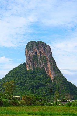 Güzel dağlar, güzel ağaçlar, güney Tayland 'da yeşillik..