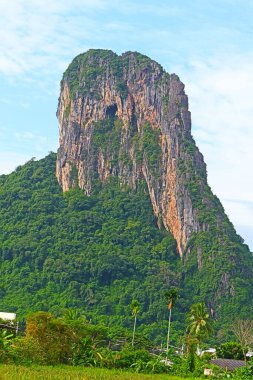 Güzel dağlar, güzel ağaçlar, güney Tayland 'da yeşillik..
