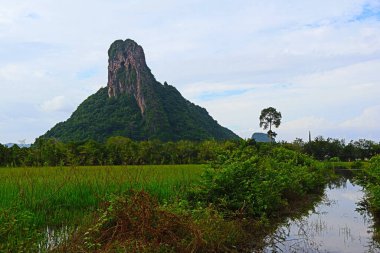 Güzel dağlar, güzel ağaçlar, güney Tayland 'da yeşillik..