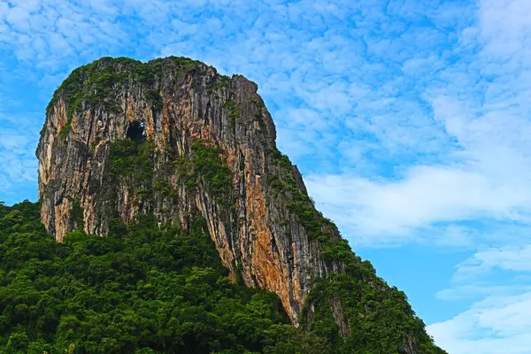 Güzel dağlar, güzel ağaçlar, güney Tayland 'da yeşillik..