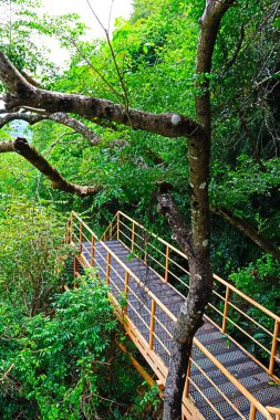 Dağdaki demir merdivenler ve Tayland 'ın güneyindeki güzel manzara.