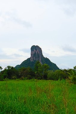 Yeşil dağlar Tayland 'ın güneyindeki güzel doğayı simgeliyor.