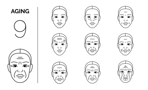 女人脸上的衰老阶段 — 图库矢量图片