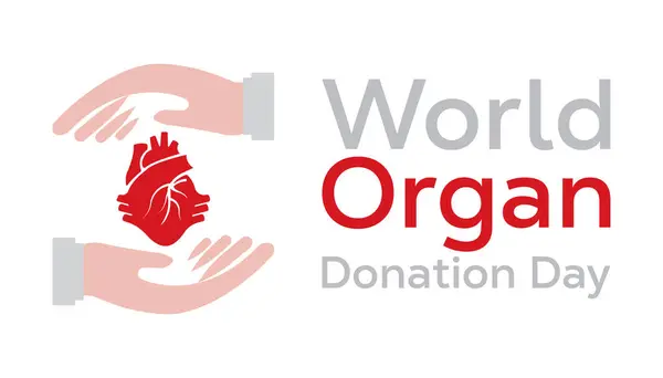 Stock vector World Organ Donation Day is observed every year on August.banner design template Vector illustration background design.