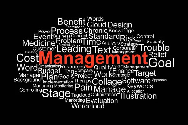 İş Yönetimi Kelime Bulut Kavrama Stratejisi, Planlama, Risk, Hedefler ve İşlem Anahtar Sözcükleri