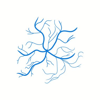 Arka planda izole edilmiş mavi damarların yaratıcı vektör çizimi. İnsan damarı, sağlık arterleri, sanat tasarımı. Soyut konsept grafik element kılcal damarları. Kan sistemi