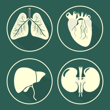İnsan organlarını ayarla. Tıbbi etiketler, teşhis kliniği rozetleri, sağlık hizmetleri tasarım unsurları. Vektör illüstrasyonu