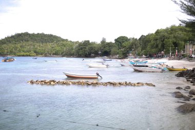 Deniz kıyısının güzel manzarası