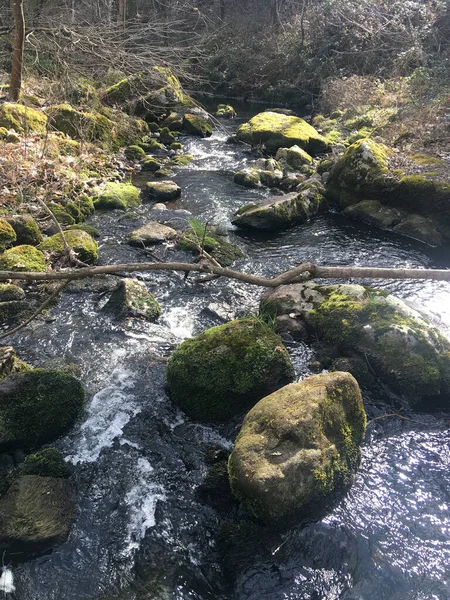 Fluxo Água Viva Cascata Rio Montanha Que Flui Através Pedras — Fotografia de Stock