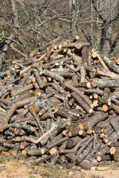 아래서 에너지 위하여 시골에 통나무 목재를 — 스톡 사진