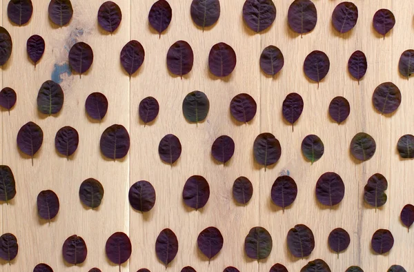 자연적 인설계 나정원의 상징물을 나무의 줄지어 늘어서 현수막 — 스톡 사진