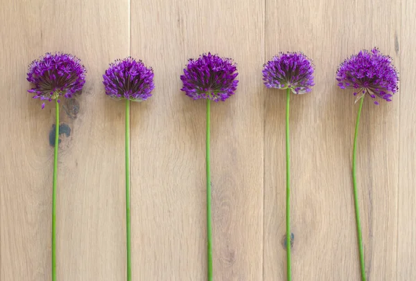 自然配列の概念光木製のフラットレイアウトの背景やバナー上のチャイブの花と類似性または類似性 ストック写真