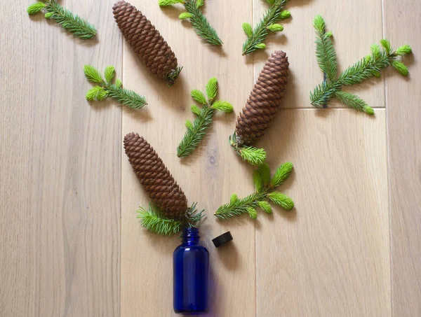 Botol Kaca Esensial Yang Sehat Berkonsentrasi Pada Kerucut Pohon Cemara Stok Foto Bebas Royalti