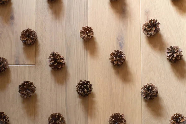 Kerucut Pinus Menyelaraskan Baris Atas Cahaya Bersih Kayu Latar Belakang Stok Gambar