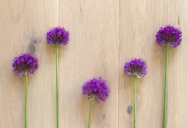 自然進化のデザインコンセプト 類似性と光の上のチャイブの花との違い木製のフラットレイポスター ストック写真