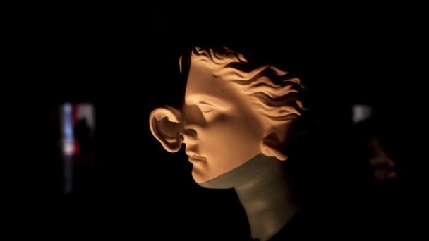 西班牙Figueres的Salvador Dali博物馆 位于菲格雷斯的达利剧院博物馆加泰罗尼亚Figueres的超现实主义画家Salvador Dali博物馆 博物馆展品 — 图库视频影像