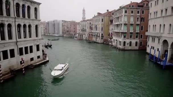 Rialto Bridge One Four Bridges Grand Canal Venice Located Rialto — Vídeo de Stock