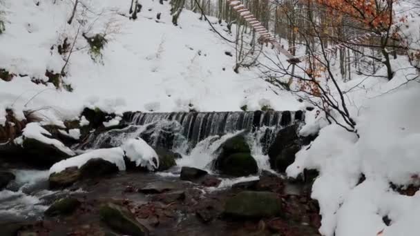 Водопад Северных Склонах Полонинского Боржавского Горного Массива Подножия Горы Гемба — стоковое видео