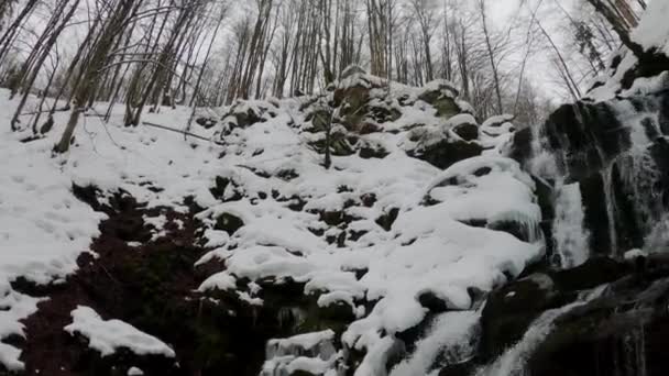 Водопад Северных Склонах Полонинского Боржавского Горного Массива Подножия Горы Гемба — стоковое видео