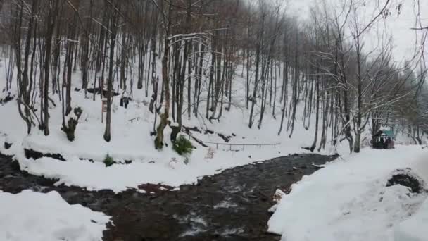 Polonyna Borzhava Dağının Kuzey Yamaçlarında Ukrayna Karpatları Ndaki Gemba Dağı — Stok video